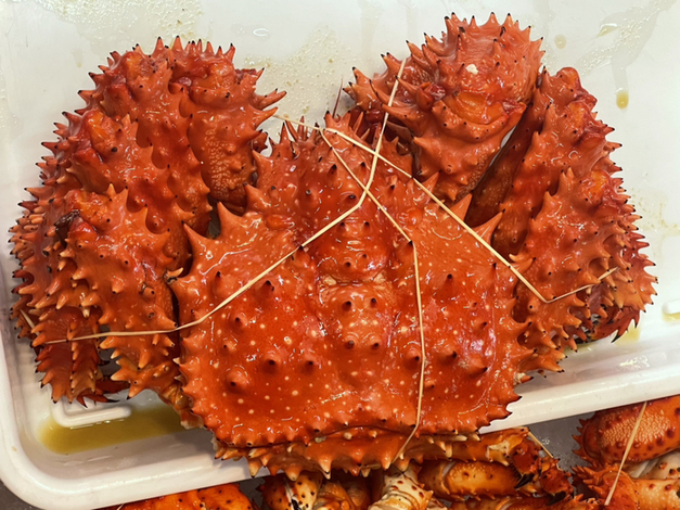 太公望魚信 玄達瀬ジギング‼️ 11人 同時ヒット‼️ 流石にオマツリ避けられ