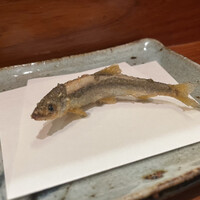 天冨良 よこ田 - 