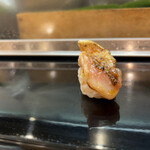 Osushi Usami - 