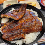 Sumibiyaki Unagi Higashiyama Bussan - 