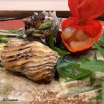 御料理 寺沢 - 太刀魚の備長炭焼と酸漿の中には白ボタン海老の赤酒漬