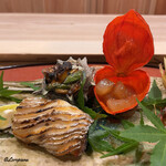 御料理 寺沢 - 太刀魚の備長炭焼と酸漿の中には白ボタン海老の赤酒漬