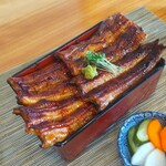 町田 うなぎ流木 - 【関西風地焼】と【関東風の蒲焼】が１匹ずつ盛り付けてある『二鰻羽織重』