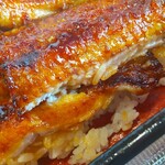 町田 うなぎ流木 - 【関西風地焼】と【関東風の蒲焼】が１匹ずつ盛り付けてある『二鰻羽織重』