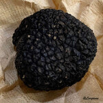 御料理 寺沢 - サマートリュフ