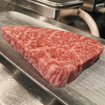 Nose to Tail - ミスジ