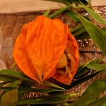 馬車道 大かわ - そうめん南瓜