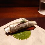 アカ - コハダのボガディージョ