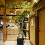 イノベーティブ フレンチ ワタハン - 