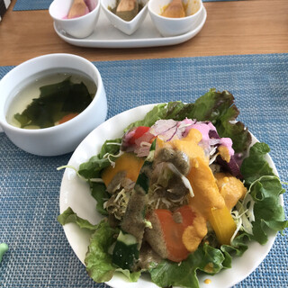 玄米菜食カフェ ミルトスの木_0
