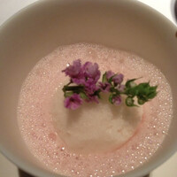 ブレストンコート ユカワタン - 