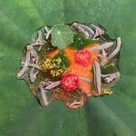 Fujiya 1935 - ジュンサイトマトウォーター