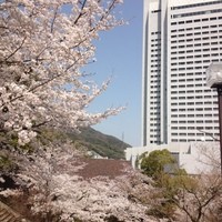 レストラン＆バー Level 36 - 新神戸 ANAクラウンプラザホテル