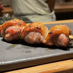 とり茶太郎 - ソリレス、ホロホロ鳥、信州黄金軍鶏、比内地鶏