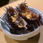 葵 - ムラサキウニ