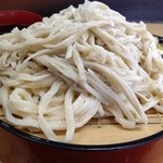 手打うどん・手打そばしまや - 相もり　うどんとそば