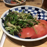 Shuumai Sakaba Makkoi - トマトと新芽のサラダ、豆苗や茗荷でした。