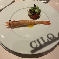 CILQ - 
