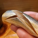 鮨 来多老 - 小鰭。リフトぉ(^o^)/