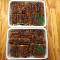 炭焼 うな富士 有楽町店 - 上：（梅）　下：（竹）