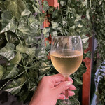 自然派バル Vin - 