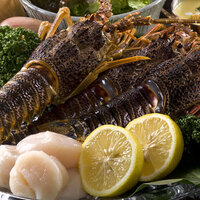 【伊勢海老付き】鉄板焼 ヘレランチ