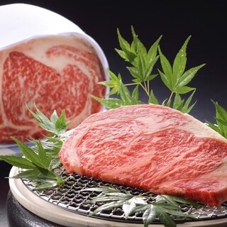 The concept is “Meat Italian Cuisine” using carefully selected Saga beef♪