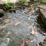 松田屋ホテル - 庭園の池