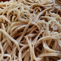 紗羅餐 本店 - 二八蕎麦のアップです