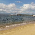 ザ・ルイガンズ - ビーチ