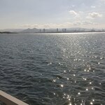 ザ・ルイガンズ - 海辺