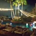 ザ・ルイガンズ - ナイトプール