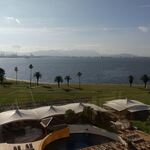 ザ・ルイガンズ - 眼下