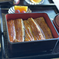 駒形前川 浅草本店 - 国産養殖うなぎ特上。