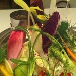 カーザ ヴィニタリア - ヴァーニャカウダ