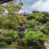 がんこ 高瀬川二条苑 - 立派なお庭　散策が出来ます