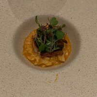 ARMONICO - 