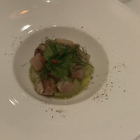ARMONICO - 