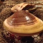 ヤマト - ２０１２－１１