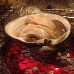 ヤマト - ２０１２－１１