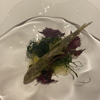 ロドラント ミノルナキジン - 