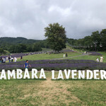 Tambara Lavender Park - 