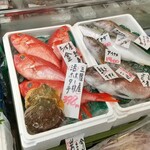 Sakanaya Takeda - 生魚