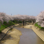 舞花 - その後はお花見