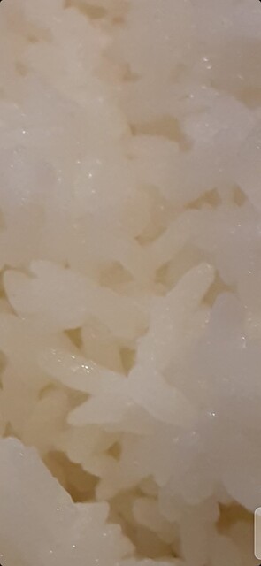 Gusto Konan Ten photo 3