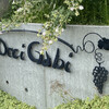 Occi Gabi - 