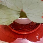 妙見石原荘 食菜石蔵 - 