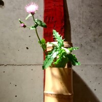 妙見石原荘 食菜石蔵 - 