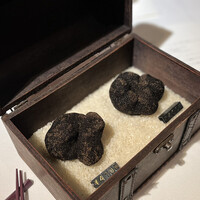 マルゴット エ バッチャーレ - 