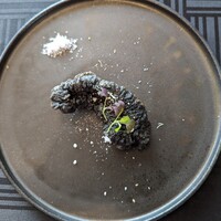 リストランテベルーガ - 